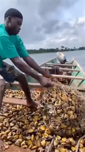 1.4M views · 5.8K reactions | The river keeps feeding us, what do you call this in your language? | Ambassador Ken | Facebook