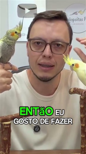 Quanto Vale uma Calopsita