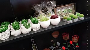 Natural Gift Ideas: Accept Eco-Friendly Supplying these Sustainable Presents