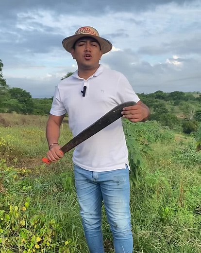Harvesting Fresh Yams in a Rustic Rural Setting