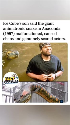 Anaconda animatronic snake malfunctioned, terrifying the cast. #IceCube #Anaconda #MovieFacts