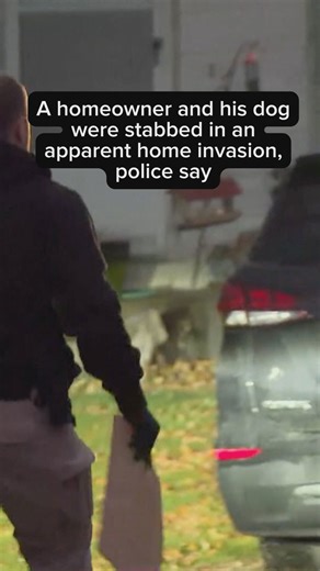 Homeowner, dog stabbed in apparent home invasion