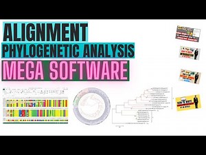 How to construct a phylogenetic tree and sequence alignment | MEGA X software -Lecture 2