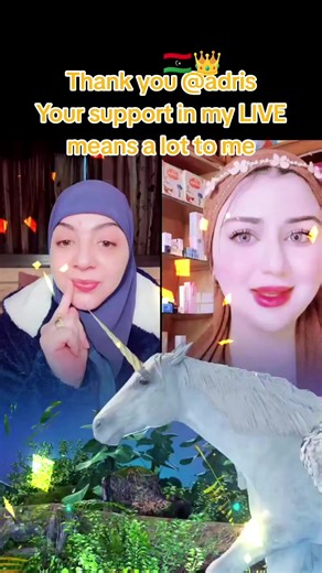 Live Highlights for Whale Diving Enthusiasts