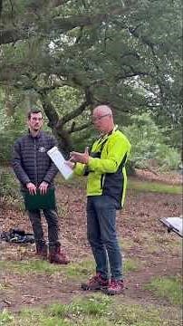 Introduction to Tree Inspection #treesapp #tree #treeinspection