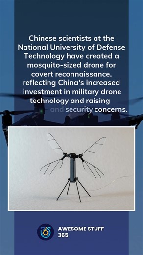 3.5K views · 14 reactions | Chinese scientists have developed a mosquito-sized drone for covert reconnaissance, marking a significant leap in military drone technology. This innovation raises important questions about privacy and security in an increasingly tech-driven world. 烈 #Innovation #DroneTechnology #SecurityConcerns | Awesome Stuff 365 | Facebook
