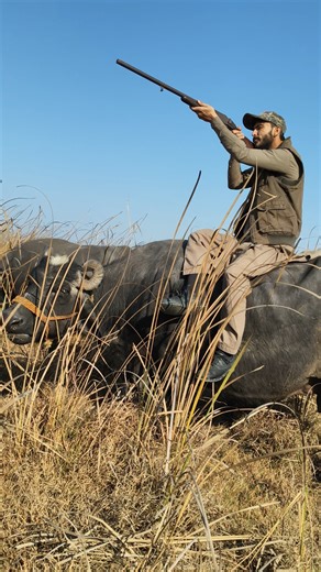 Hunting in the Jungle | Wild Adventure