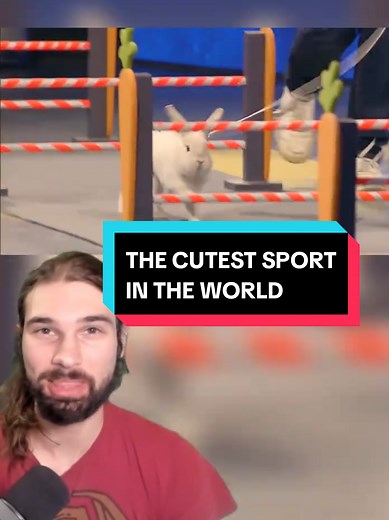 Discover Kaninhop: The Cutest Sport in the World