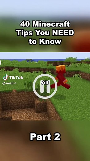 40 Minecraft Tips You Need to Know (Part 2)