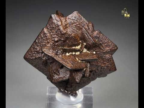 #22519 - GOETHITE pseudomorph after MARCASITE, White Desert, Egypt