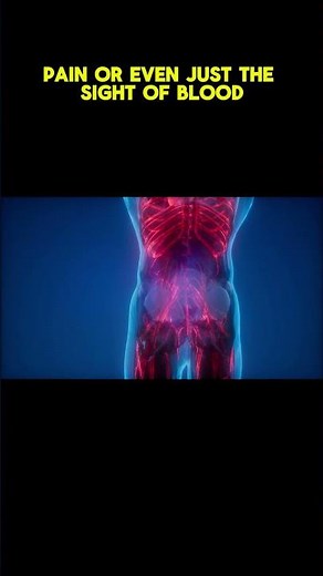 Why Do Some People Faint at the Sight of Blood? 😵🩸