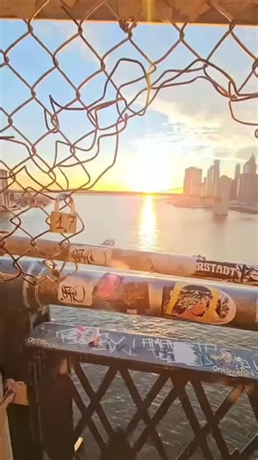 La Navidad es como un "Motor Económico" ​Para muchos inmigrantes, la Navidad no es solo descanso, sino la temporada de mayor trabajo. Muchos trabajan en el sector de servicios (restaurantes, limpieza, entregas a domicilio) para aprovechar las propinas y el aumento de la actividad económica, enviando "remesas navideñas" extra a sus familias en sus países de origen. ​En resumen, la Navidad para un inmigrante en Nueva York es un acto de resiliencia. Es el esfuerzo de hacer que un pequeño apartament