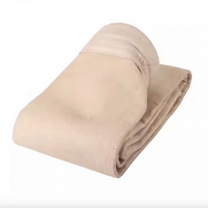 [Hot Item] Air Filter Thermal Power Plant PPS/Aramid P84 Dust Collector Filter Bags