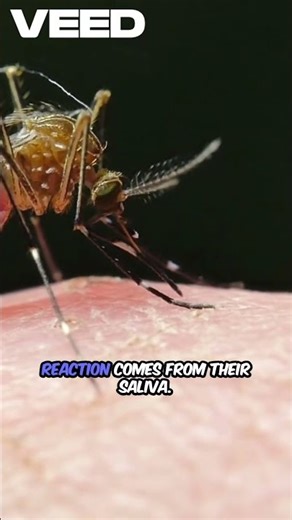 This tiny insect influenced human history and economics #mosquito #viral #facts #like #shortsfeed#ph