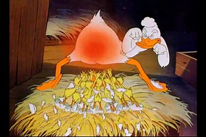 13 Booby Hatched | HB Dibujos Animados Clásicos