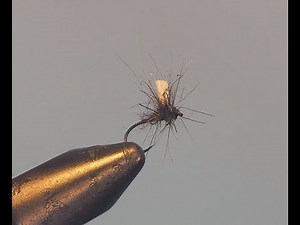 montage d'une micro mouche