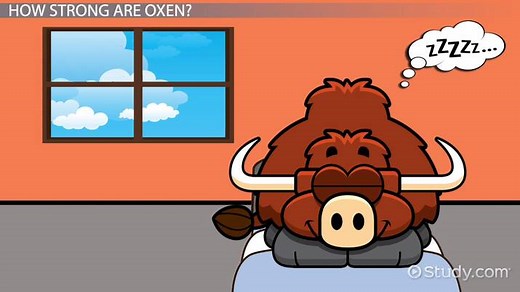 Oxen Facts: Lesson for Kids