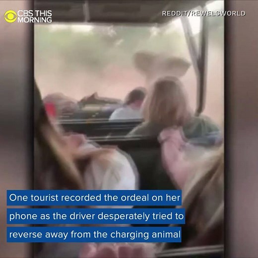 SCARY CHASE: A raging elephant charged at terrified tourists on a jeep safari tour in South Africa. | CBS News