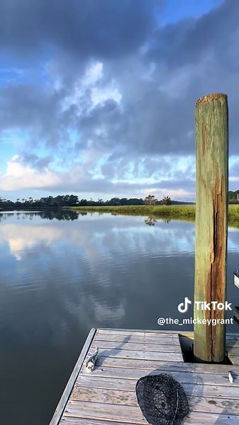 Sunrise in the low country of South Carolina. #southcarolina #lowcountry #charleston #sunrise #vibes