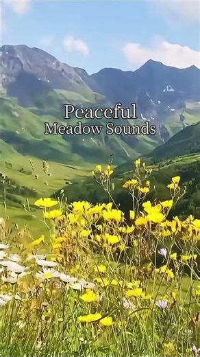 Peaceful Meadow Sounds for Relaxation, Sleep & Study 🌿