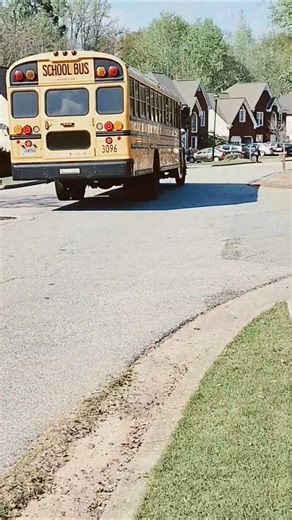 2010 Bluebird Vision Bus 3096(Remastered)