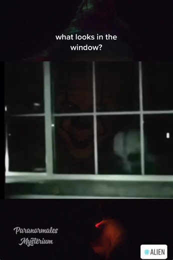 what looks in the window #scary #ghost #night #gruselig #anotherworld #paranormalinvestigator #lightout #alien #alienabduction #aliens #ufo #ufosigh | Top Story