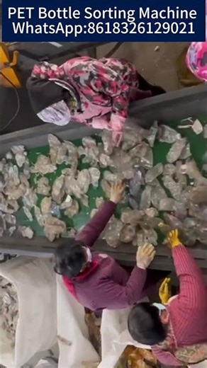 PET Bottle Sorter #plasticrecycling #bottlerecycling #recycling #plasticbottle WA:8618326129021