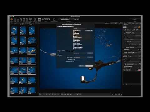Hasselblad Phocus 3: Part 2 – Menus, Import and Export
