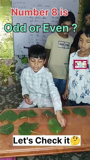 Odd or Even Numbers Activities for Kindergarten and Class 1 | learn by doing math activity | Part 8