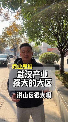 武汉有哪些强大的产业区 #商业思维 #干货分享 #认知提升