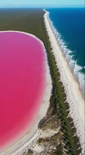 The stunning Lake Hillier