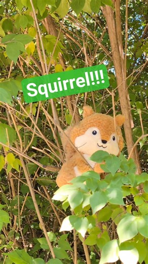 Turning nature Walk sightings into Quilts. #quilt