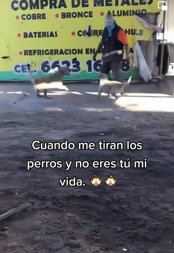 COSAS DE HOMBRES ... Cuando me tiran los perros y no eres tú #fyp #viral #parati #novios #amor #cosasdehombres #fiel #homvres