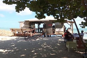 21K views · 214 reactions | Stuarts Conch Salad Bimini Feature. | ZNS Northern Service | Facebook