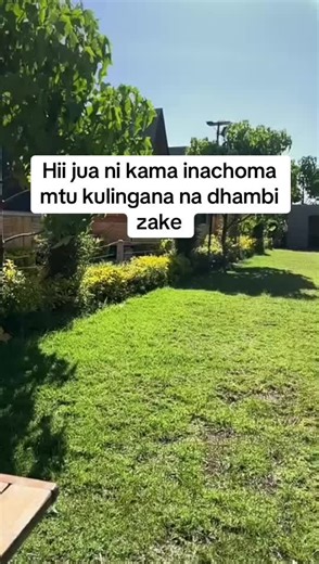 Understanding 'Nabby' Meaning in Nairobi Culture