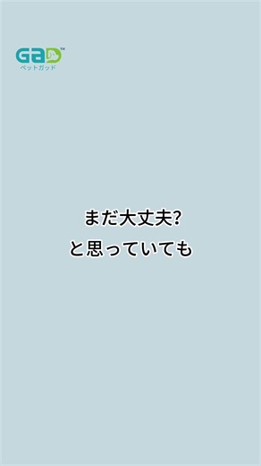 犬の寄生虫駆除 後回しにしてない？