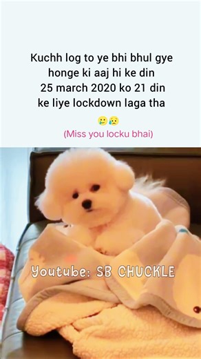 Miss you locku bhai 🥲 #tweetreels#aesthetic#lofichill #brokenheart#sadquotes#sad#lofimusic#shorts