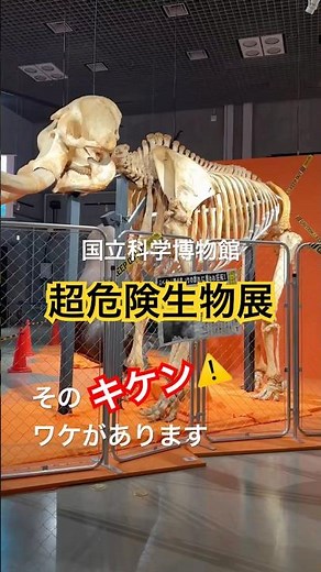 危険な生物の“本気”！国立科学博物館「超危険生物展」
