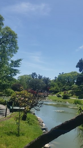 4.9K views · 138 reactions | El lugar más representativo de Japón en...