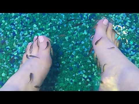 When fish eat the dead skin off your feet. Wow. Gotta try this!
