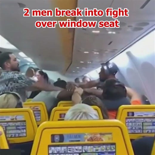 Shocking Video Shows Two Passengers Fighting on Plane over Window Seat #shorts #fight