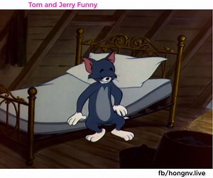 154K views · 505 shares | Tom and Jerry classic № 093 - Designs on Jerry | COÒNG GIÓ | Facebook
