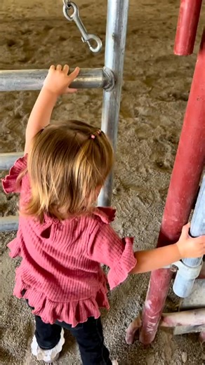 🩷🐴 #horse #horsesofinstagram #horsesheal #blessed #grateful #love | Angel Horse.