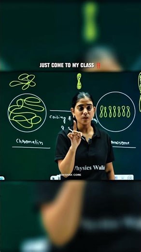 Just Come To My Class ‼️