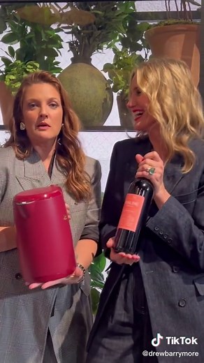 Limited Edition Merlot Collection Launch with Cameron Diaz