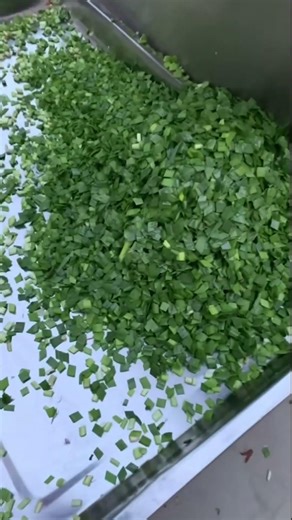 Commercial Multi-function Vegetable Cutting Machine Food Processor