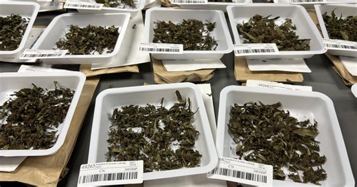 Kentucky Medical Marijuana | Who qualifies and how to apply