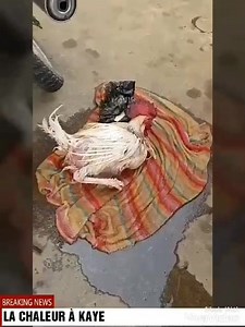 Sidiki Diabaté - Nouveau challenge de SIDIKI DIABATÉ,...