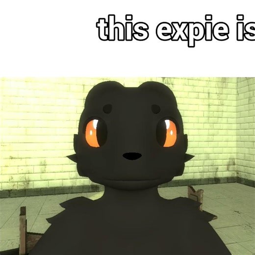 this expie is