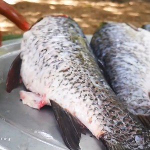44K views · 484 reactions | FULL FISH FRY COOKING Spicy fried fish recipe TASTY FRIED FISH COOKING AND EATING BY VILLAGERS || village super cooking | Wirally Food - தமிழ் | Facebook
